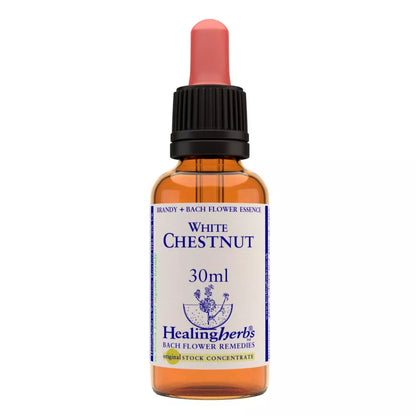https://cdn.shopify.com/s/files/1/1857/6931/files/166460-1.webp?v=1769160416