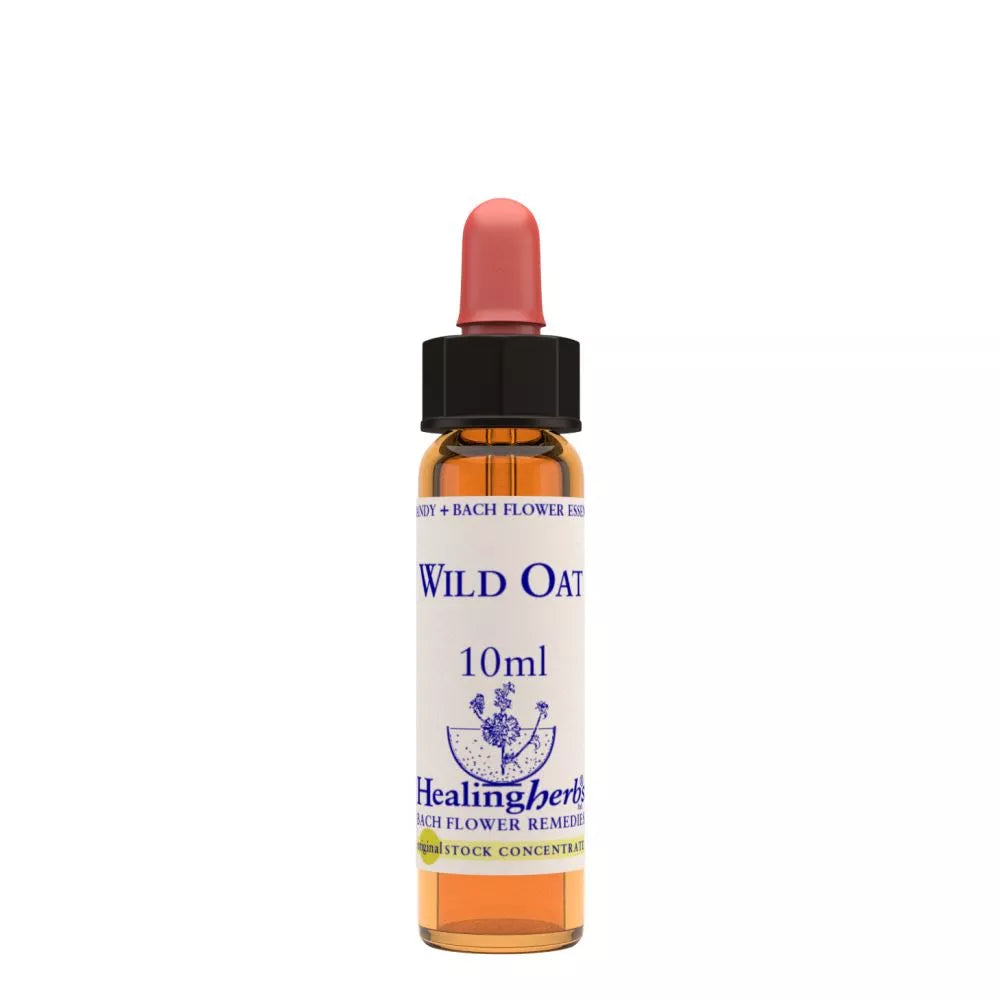 https://cdn.shopify.com/s/files/1/1857/6931/files/166461-1.webp?v=1769160445