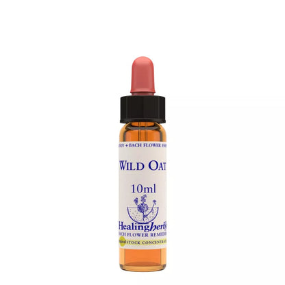 https://cdn.shopify.com/s/files/1/1857/6931/files/166461-1.webp?v=1769160445