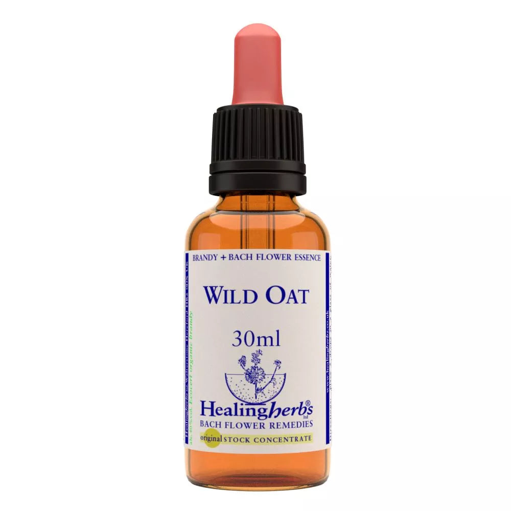 https://cdn.shopify.com/s/files/1/1857/6931/files/166462-1.webp?v=1769160445