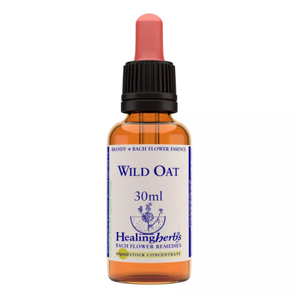 https://cdn.shopify.com/s/files/1/1857/6931/files/166462-1.webp?v=1769160445
