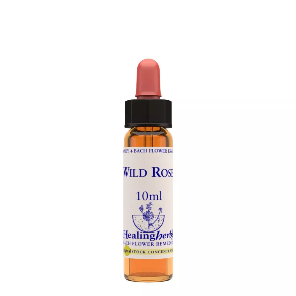 https://cdn.shopify.com/s/files/1/1857/6931/files/166463-1.webp?v=1769160572
