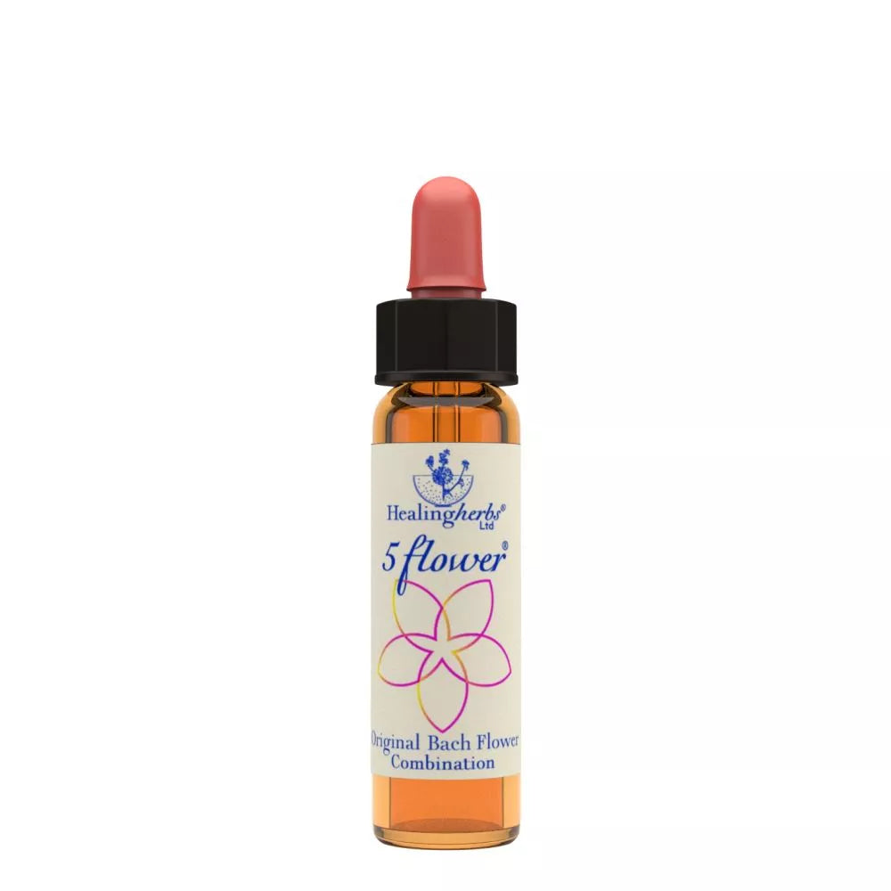 https://cdn.shopify.com/s/files/1/1857/6931/files/166467-1.webp?v=1769160564
