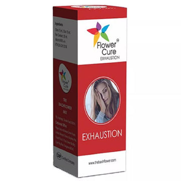 https://cdn.shopify.com/s/files/1/1857/6931/files/167413-1.webp?v=1769165548