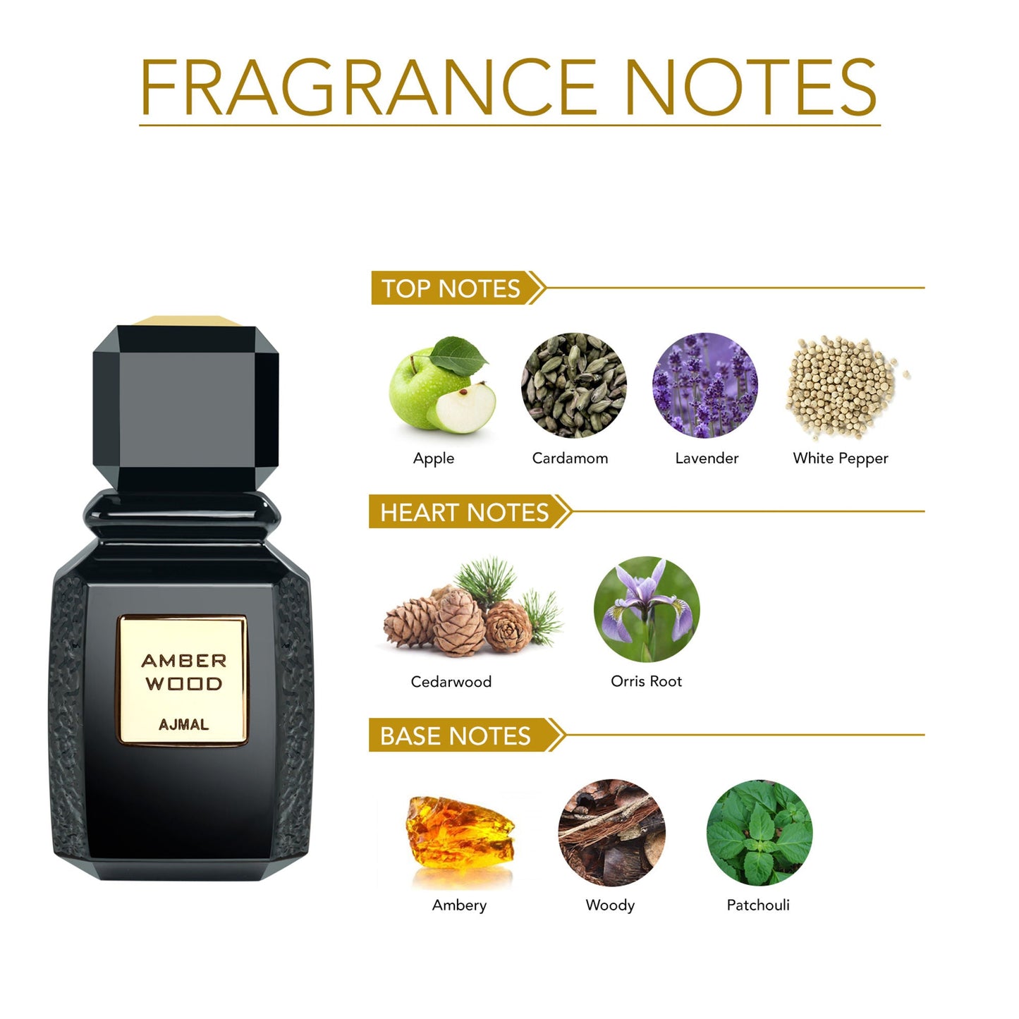 https://cdn.shopify.com/s/files/1/1857/6931/files/18962666293708006731_3.jpg?v=1779877696
