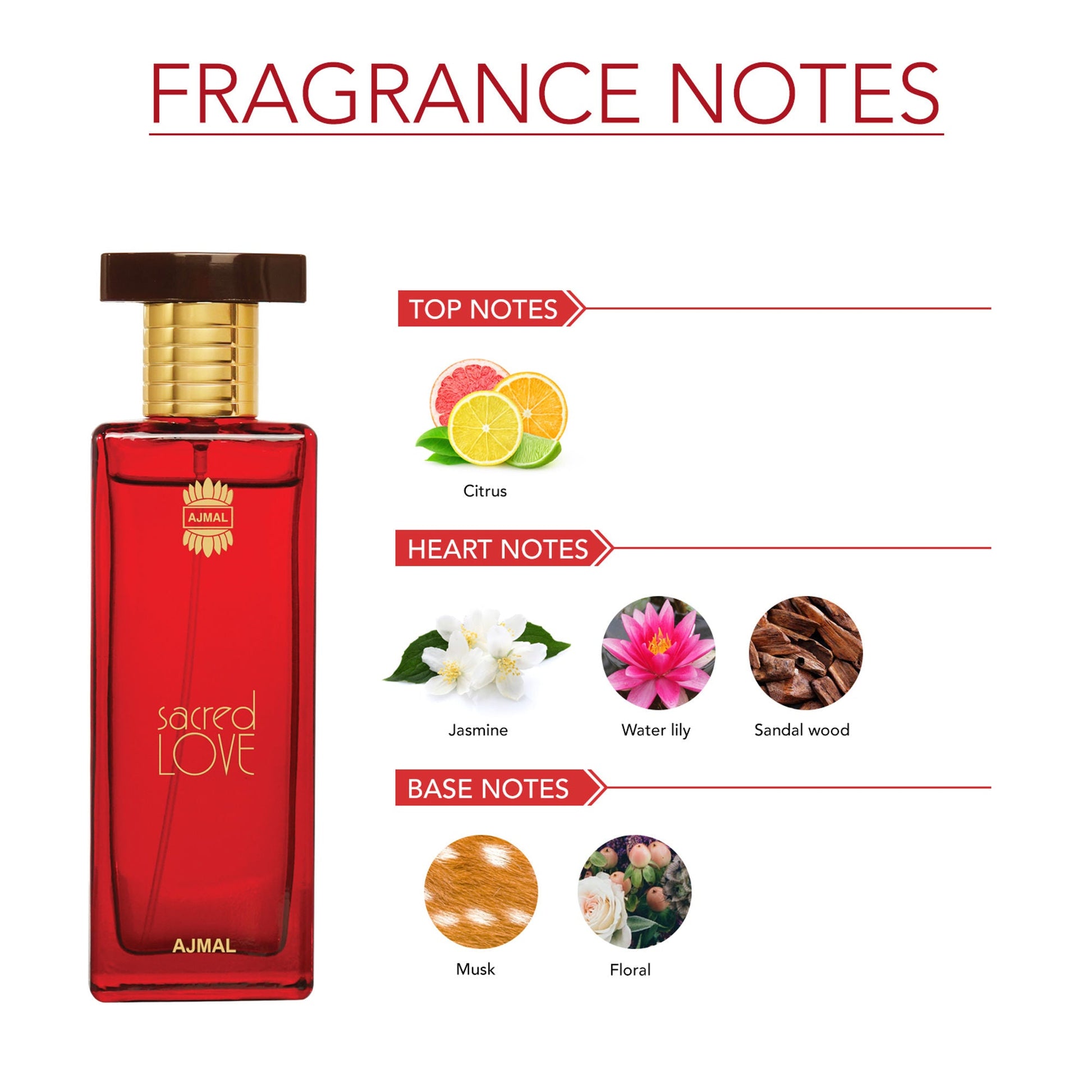 https://cdn.shopify.com/s/files/1/1857/6931/files/18962666293708700134_3.jpg?v=1779877595