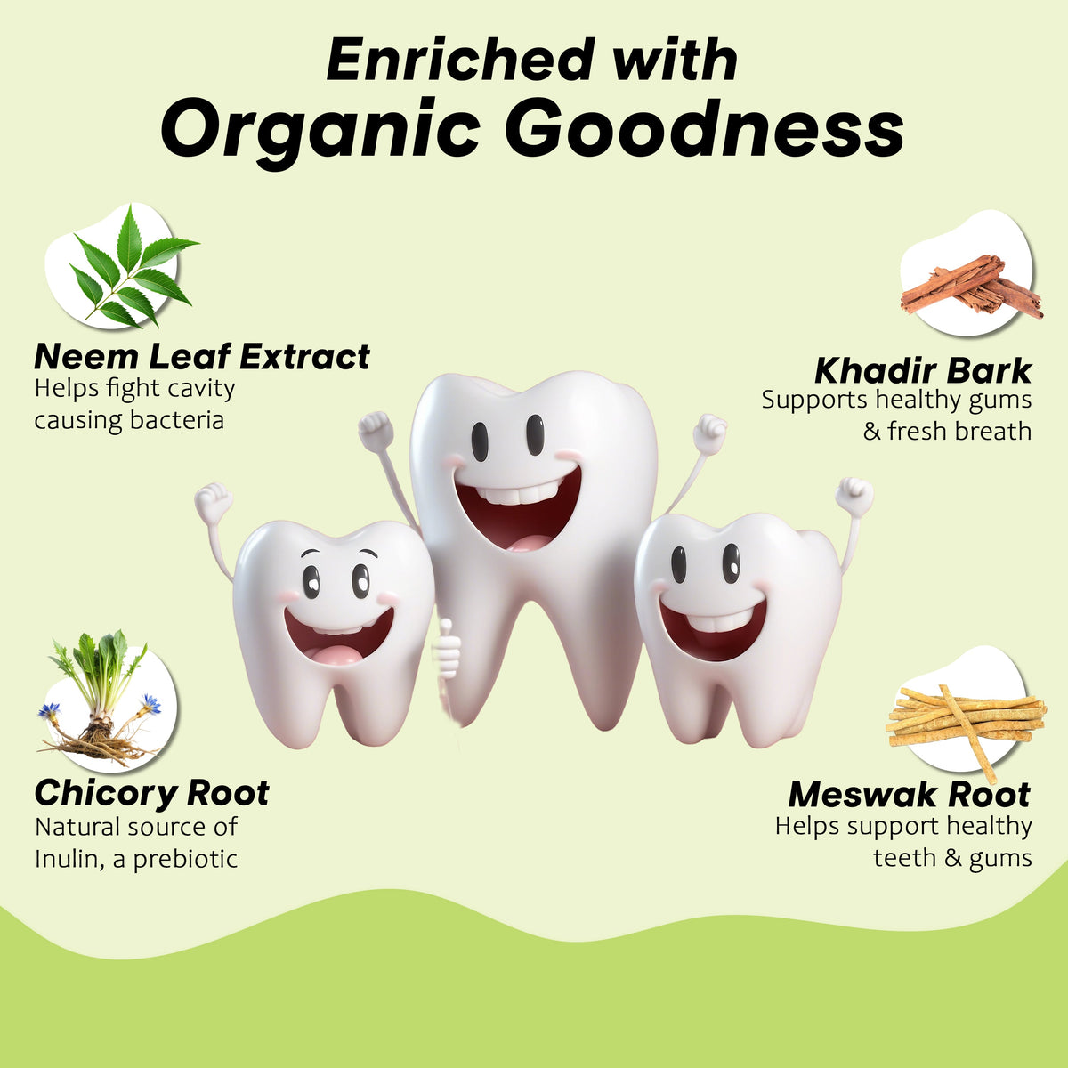 Image 6 of Herby Angel Fennel Fresh Prebiotic Toothpaste for Kids