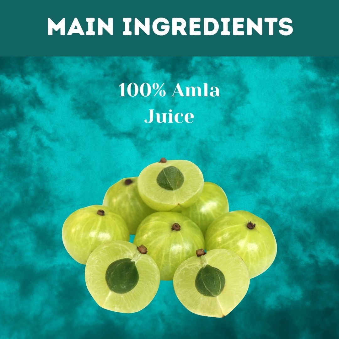 https://cdn.shopify.com/s/files/1/1857/6931/files/1AL348-2_1.jpg?v=1760169866