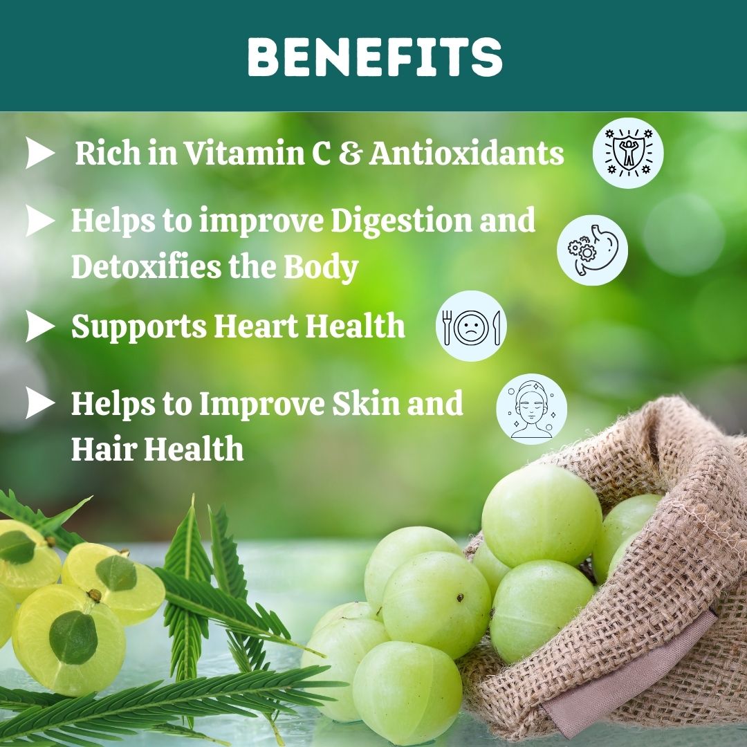 https://cdn.shopify.com/s/files/1/1857/6931/files/1AL348-3_1_35509a71-74fb-43f8-a3d2-c73daaeb8f07.jpg?v=1760169872