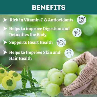 https://cdn.shopify.com/s/files/1/1857/6931/files/1AL348-3_1_35509a71-74fb-43f8-a3d2-c73daaeb8f07.jpg?v=1760169872