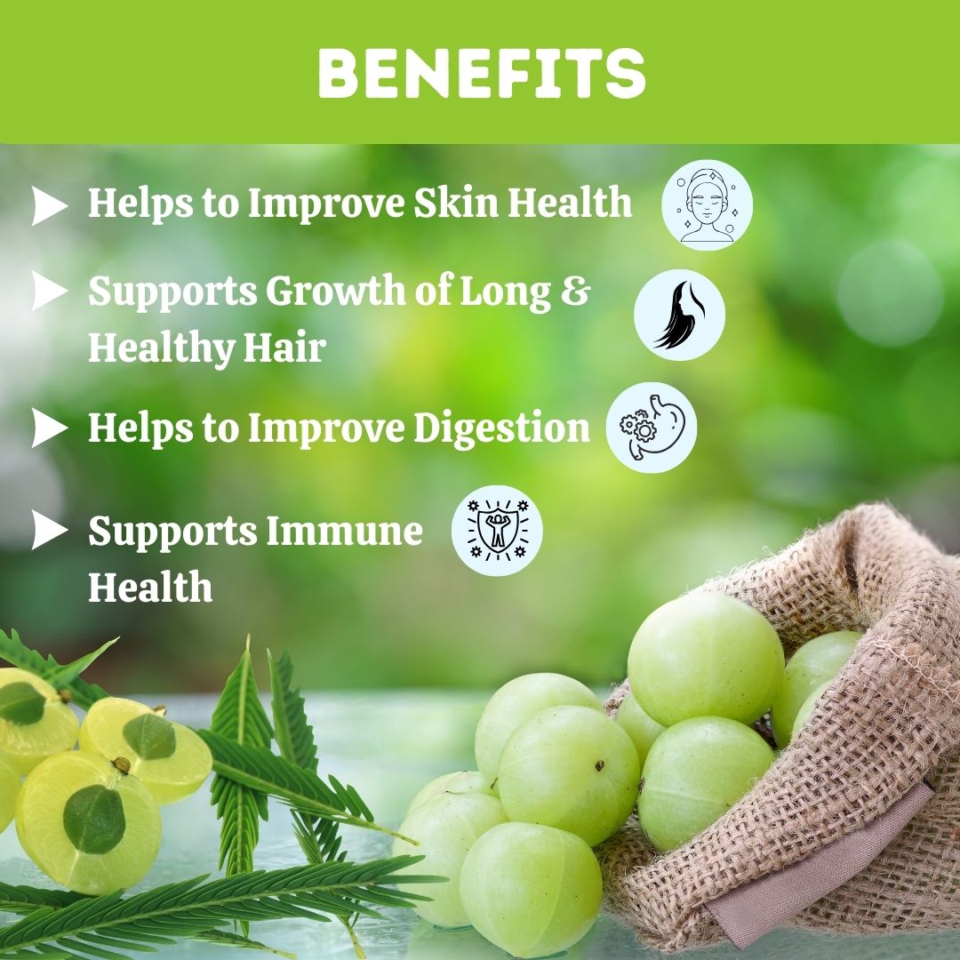 https://cdn.shopify.com/s/files/1/1857/6931/files/1AL659-3_1_13be9415-80d5-4682-9504-6e2594a36047.jpg?v=1760080650