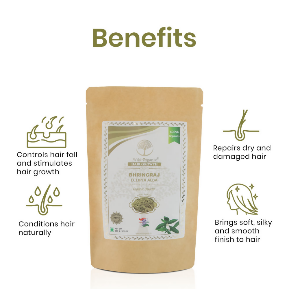 https://cdn.shopify.com/s/files/1/1857/6931/files/1GflofgBmp.png?v=1729937868