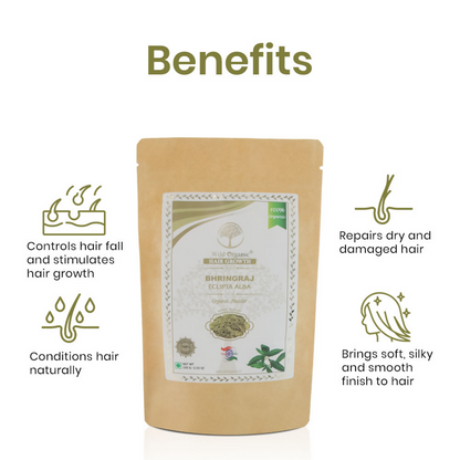 https://cdn.shopify.com/s/files/1/1857/6931/files/1GflofgBmp.png?v=1729937868