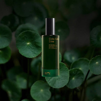 https://cdn.shopify.com/s/files/1/1857/6931/products/1Gpf1y0GKo.jpg?v=1755083058