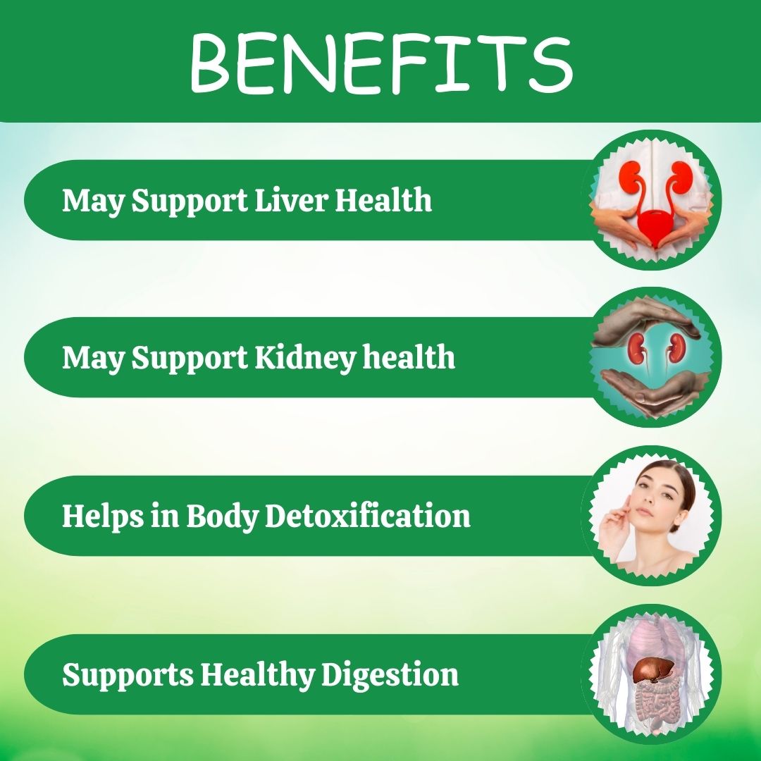 https://cdn.shopify.com/s/files/1/1857/6931/files/1PN656-3_1_ec60acc3-fd06-4483-9a59-52233ec7c0f7.jpg?v=1760075772