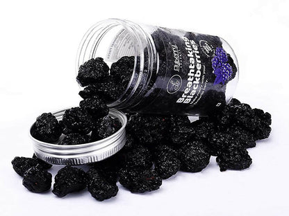 https://cdn.shopify.com/s/files/1/1857/6931/products/1PVImaImUs.jpg?v=1667042700