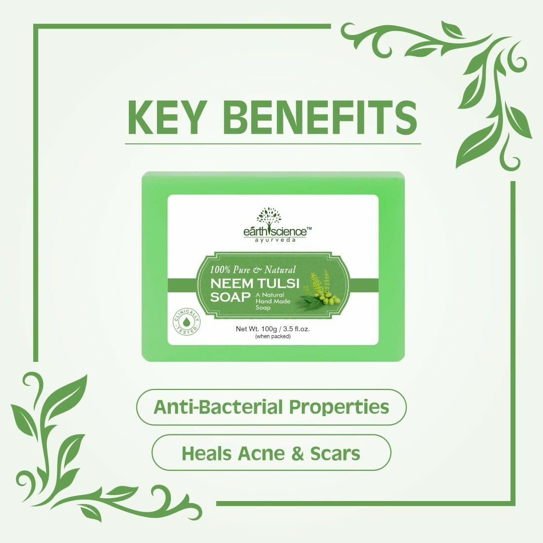 https://cdn.shopify.com/s/files/1/1857/6931/files/1Pb8p9w8T1.jpg?v=1732017402