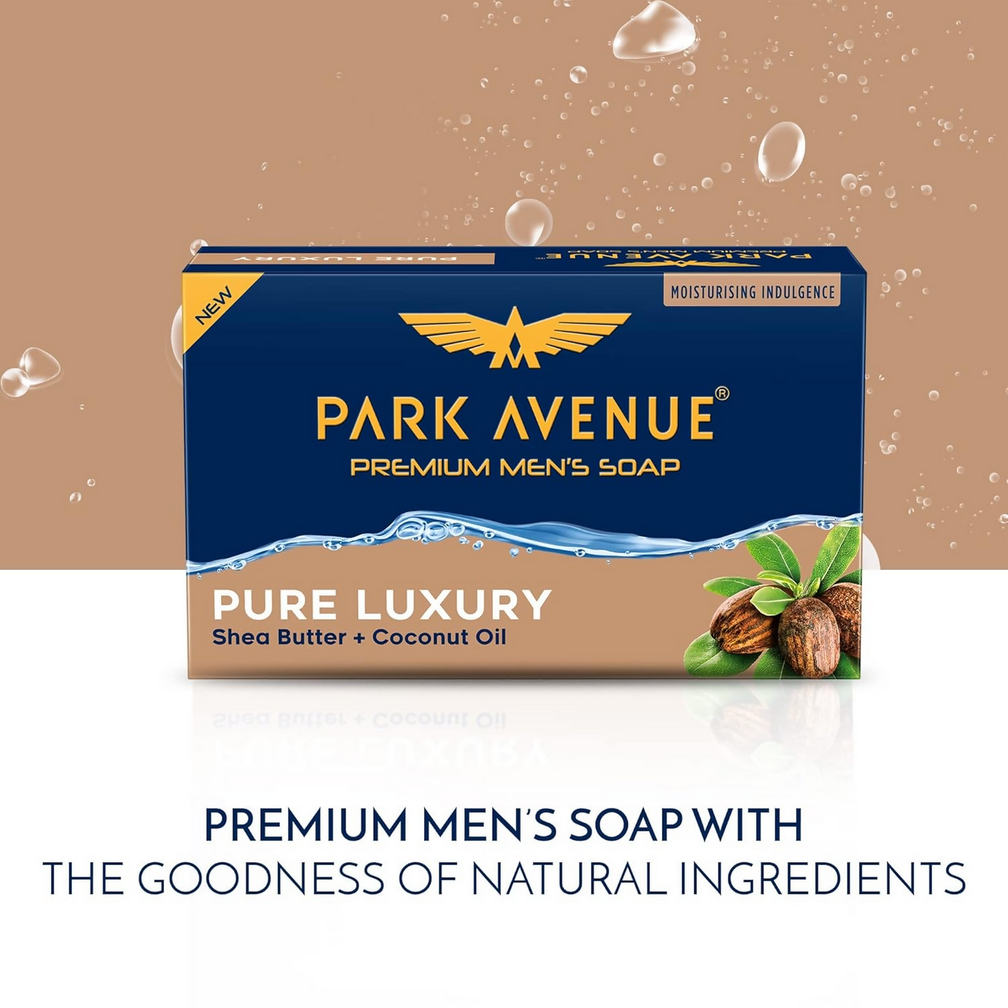 https://cdn.shopify.com/s/files/1/1857/6931/files/1QMsCLgjwK.png?v=1737347009