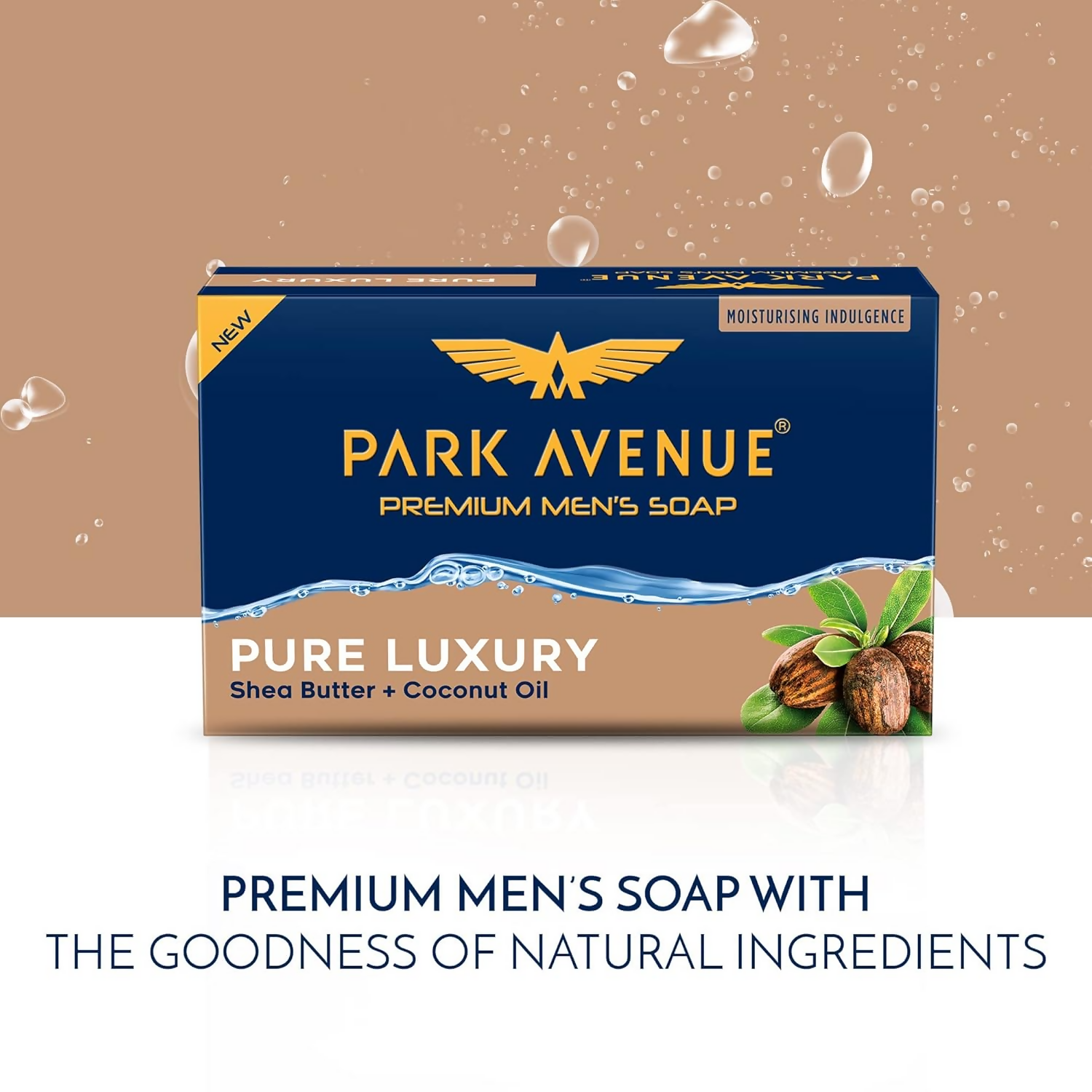 https://cdn.shopify.com/s/files/1/1857/6931/files/1QMsCLgjwK.png?v=1737347009