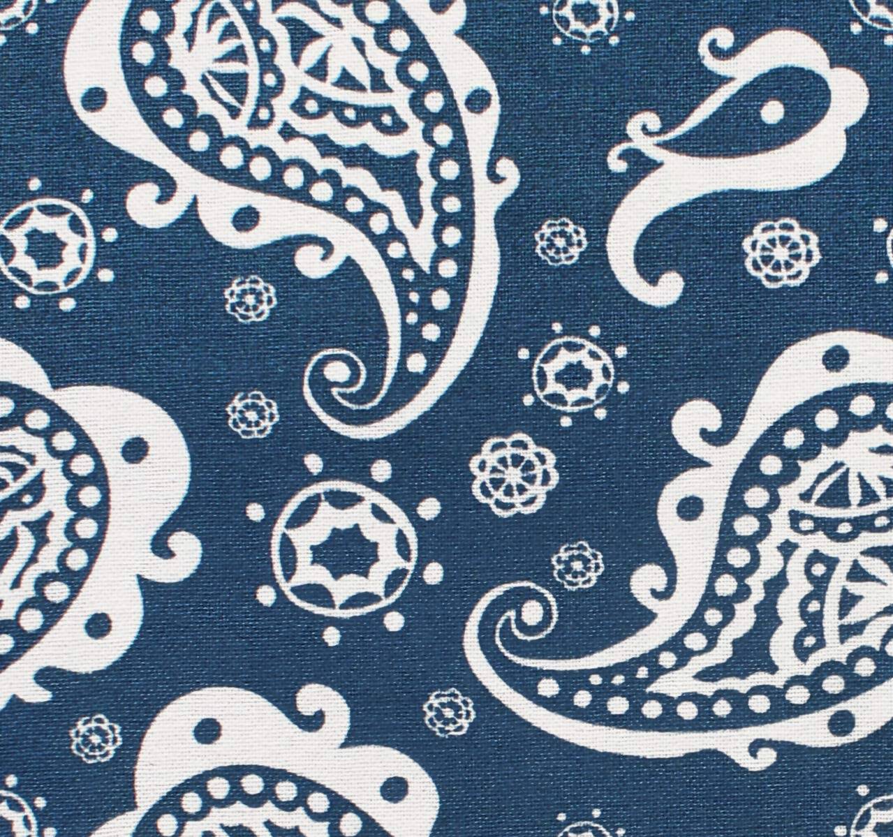 https://cdn.shopify.com/s/files/1/1857/6931/products/1ScVaB79RW.jpg?v=1706959005