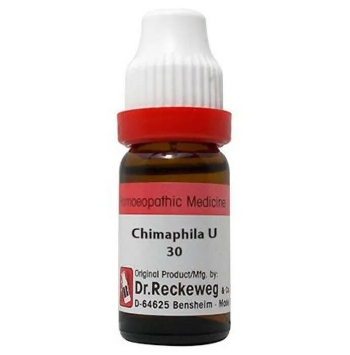 https://cdn.shopify.com/s/files/1/1857/6931/products/1T3IVRPUqF.jpg?v=1679648146