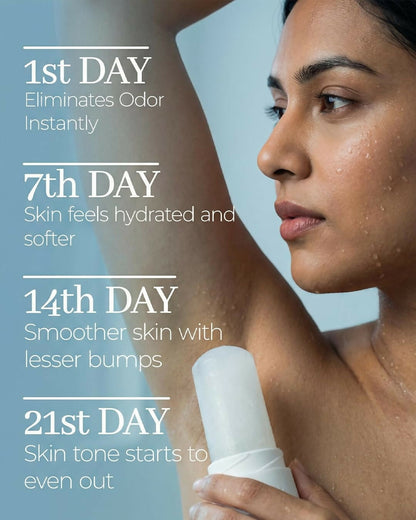 https://cdn.shopify.com/s/files/1/1857/6931/files/1T4XAsuC5i.jpg?v=1770722223