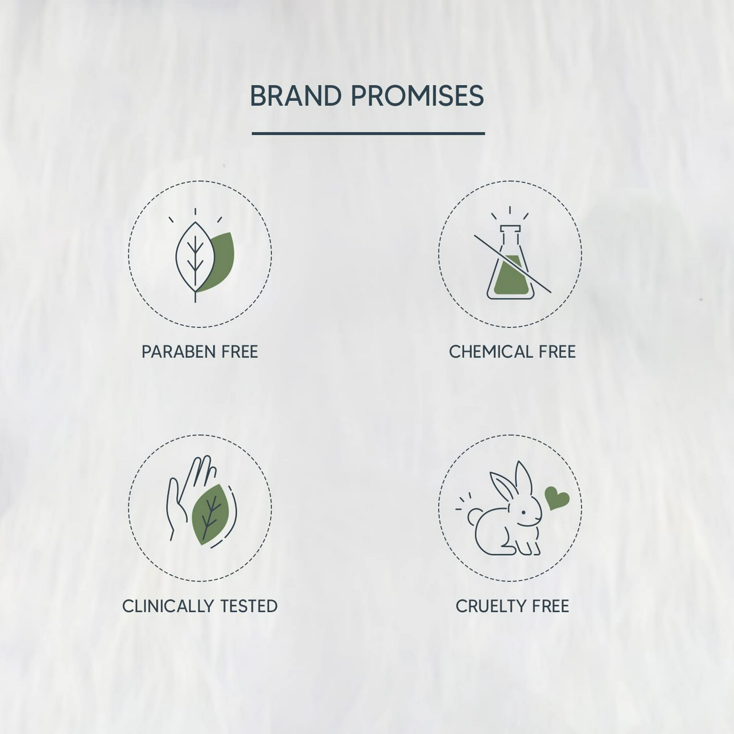 https://cdn.shopify.com/s/files/1/1857/6931/files/1WV6qWVAXS.png?v=1720516724