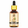 https://cdn.shopify.com/s/files/1/1857/6931/files/1_0365a1f4-371c-40da-808a-3768267ac4bc.png?v=1765546620