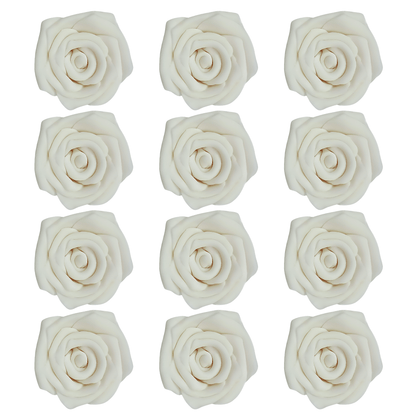 https://cdn.shopify.com/s/files/1/1857/6931/files/1_0e2a0230-a46e-4fa6-9ca6-7b13ef46d259.png?v=1769694465