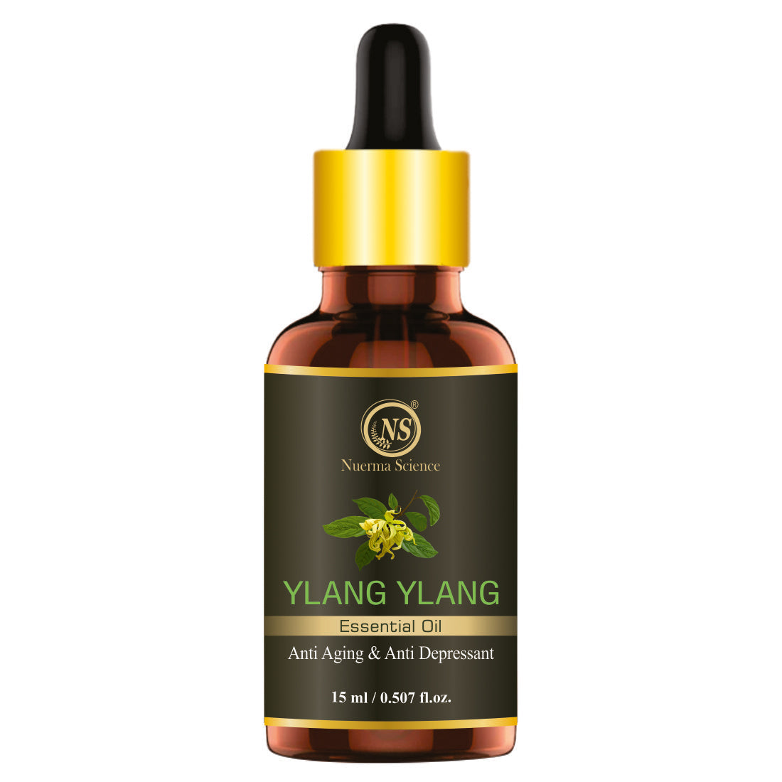 https://cdn.shopify.com/s/files/1/1857/6931/files/1_32f8092a-2f14-471d-aa0f-bef93807ec97.jpg?v=1765546670