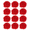 https://cdn.shopify.com/s/files/1/1857/6931/files/1_5182f0ba-e9f8-4e57-9402-57294f8c801c.png?v=1769701795
