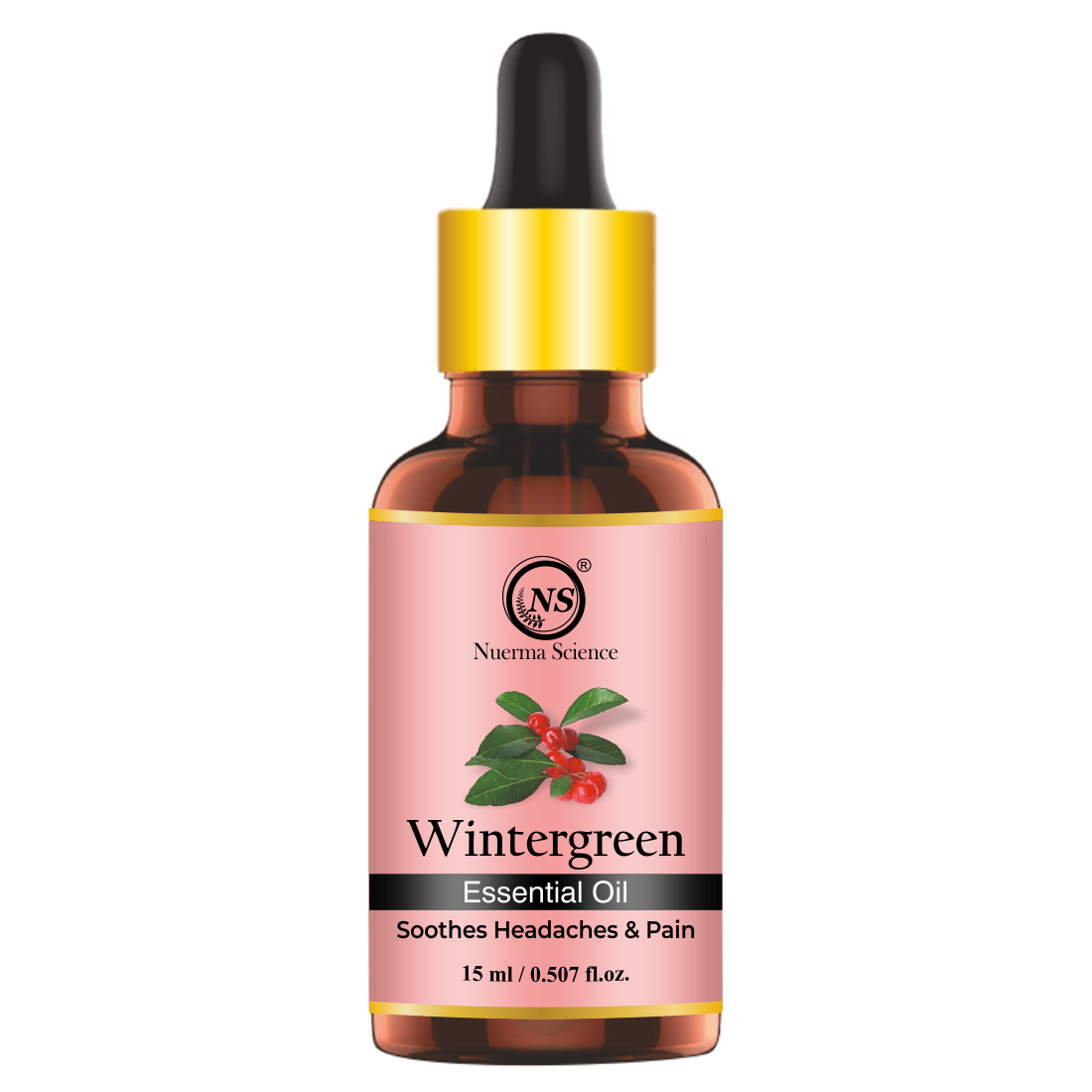 https://cdn.shopify.com/s/files/1/1857/6931/files/1_566363c9-01ef-4b8a-aa96-d67ff85fb31e.png?v=1765546632