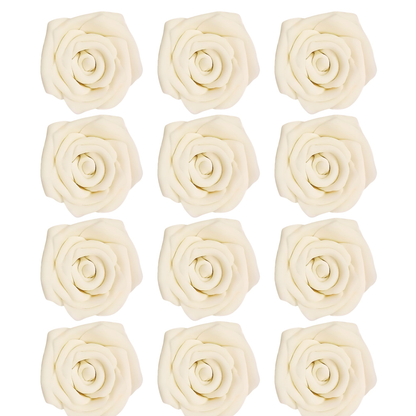 https://cdn.shopify.com/s/files/1/1857/6931/files/1_6b339ce5-2a80-476a-8cf8-6045686b4c63.png?v=1769701476