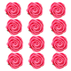 https://cdn.shopify.com/s/files/1/1857/6931/files/1_72280c99-3dbb-4e00-8d98-8824f8525b30.png?v=1769701841
