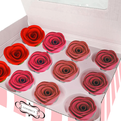 https://cdn.shopify.com/s/files/1/1857/6931/files/1_b99270b8-57e5-484a-8540-6ee47484cd0d.png?v=1769701665