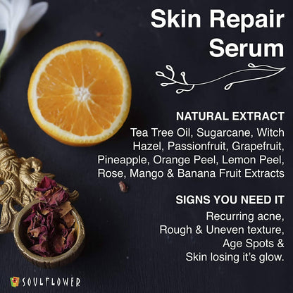 https://cdn.shopify.com/s/files/1/1857/6931/products/1biI2bgO18.jpg?v=1624109252