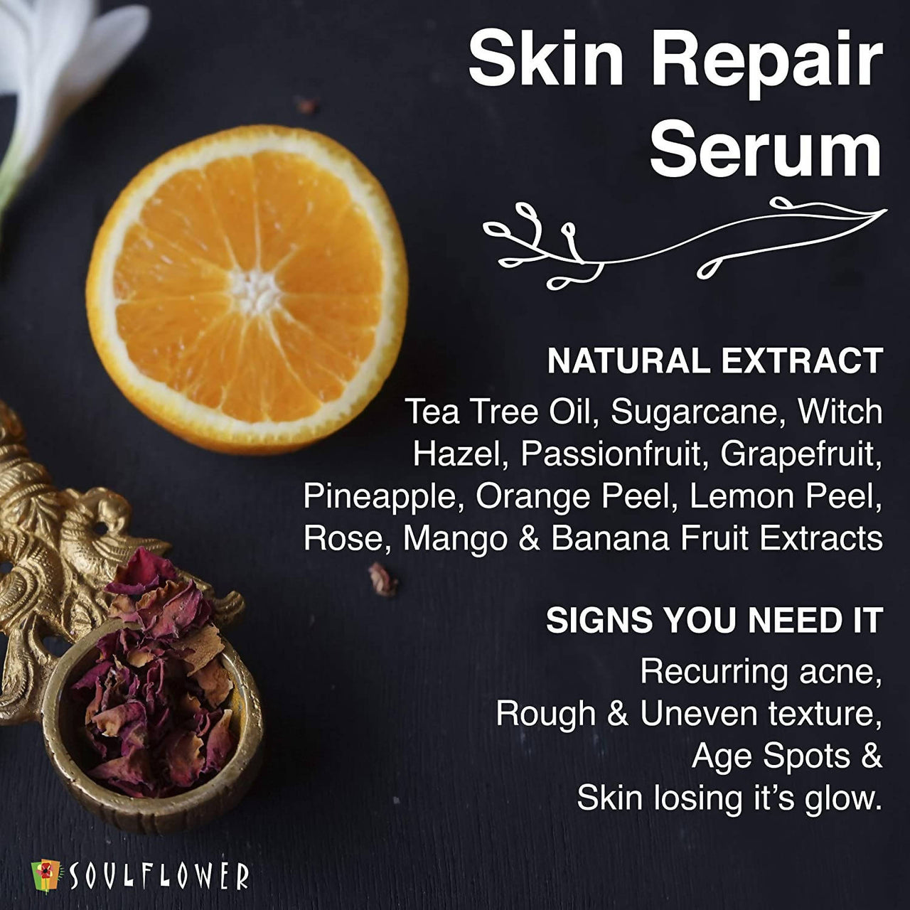 https://cdn.shopify.com/s/files/1/1857/6931/products/1biI2bgO18.jpg?v=1624109252