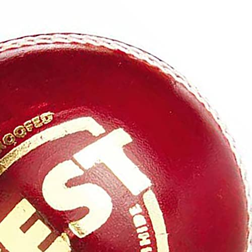 Image 4 of SG Cricket Ball Test Red
