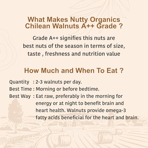 Image 4 of NUTTY ORGANICS Dried Walnut 1000 Gm