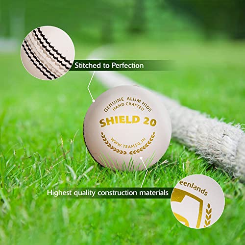 Image 5 of SG Leather Cricket Balls Shield 20 (White)
