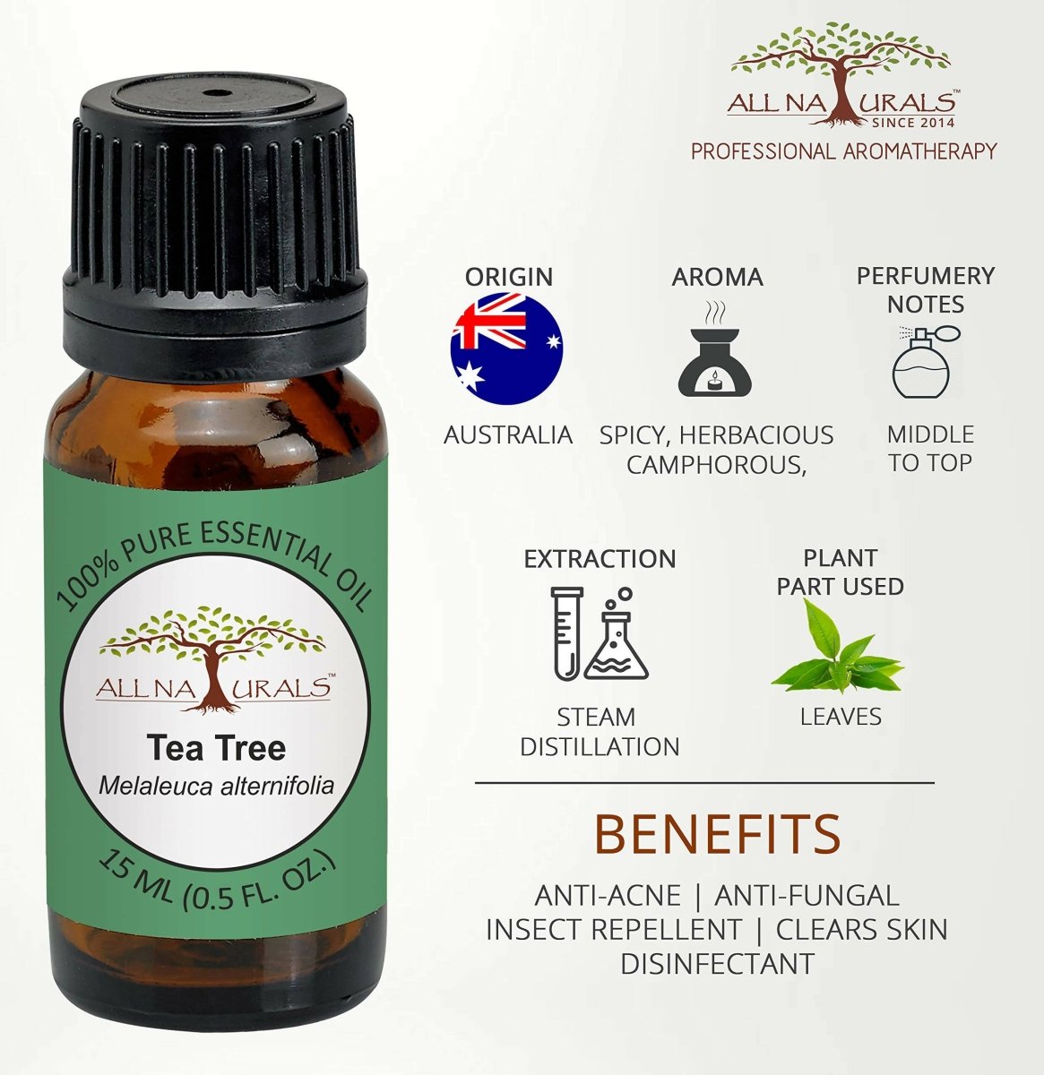 https://cdn.shopify.com/s/files/1/1857/6931/files/1f89fiX8p1-310019.jpg?v=1736146454