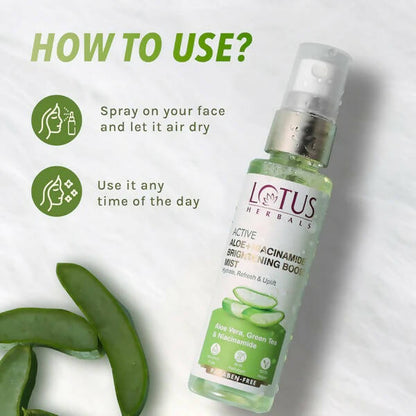https://cdn.shopify.com/s/files/1/1857/6931/products/1flwymZL6t.jpg?v=1682682568