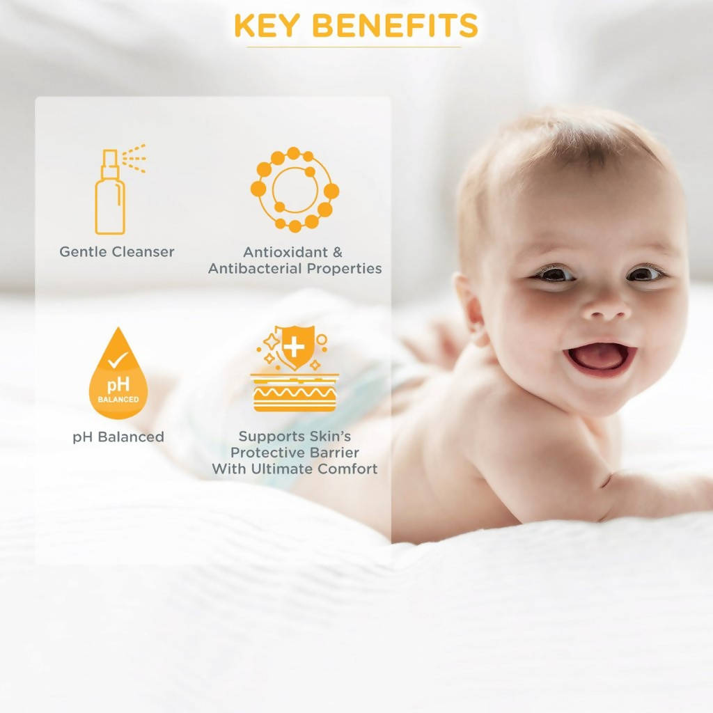 https://cdn.shopify.com/s/files/1/1857/6931/products/1k9kySJoeu.jpg?v=1639649416