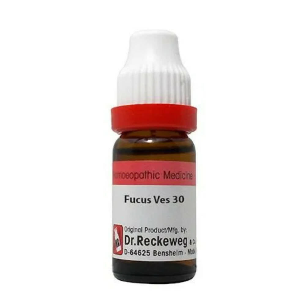 https://cdn.shopify.com/s/files/1/1857/6931/products/1kNbIEyBUC.jpg?v=1679393260