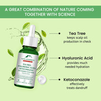 https://cdn.shopify.com/s/files/1/1857/6931/files/1lmqGuLgIc-675946.jpg?v=1736146742