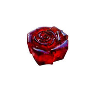 https://cdn.shopify.com/s/files/1/1857/6931/products/1qdd0OvcMH.jpg?v=1613912954