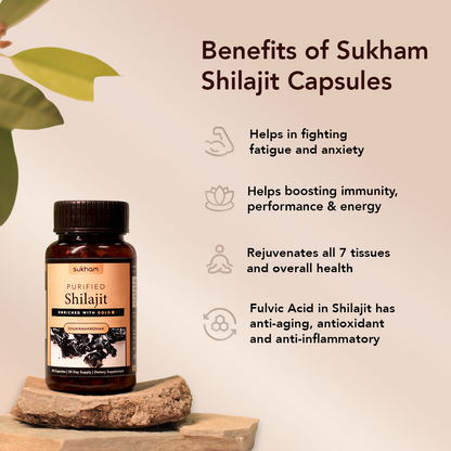 https://cdn.shopify.com/s/files/1/1857/6931/files/1s3mgJPtQ8.png?v=1738926362