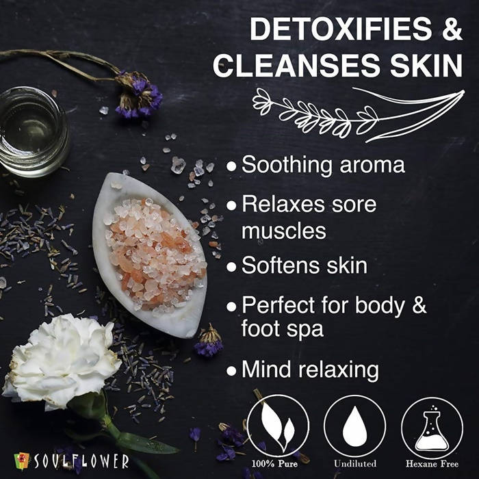 https://cdn.shopify.com/s/files/1/1857/6931/products/1s6BmbcKtK.jpg?v=1624588120