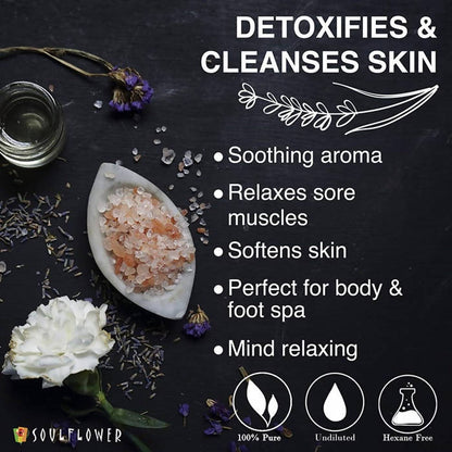 https://cdn.shopify.com/s/files/1/1857/6931/products/1s6BmbcKtK.jpg?v=1624588120