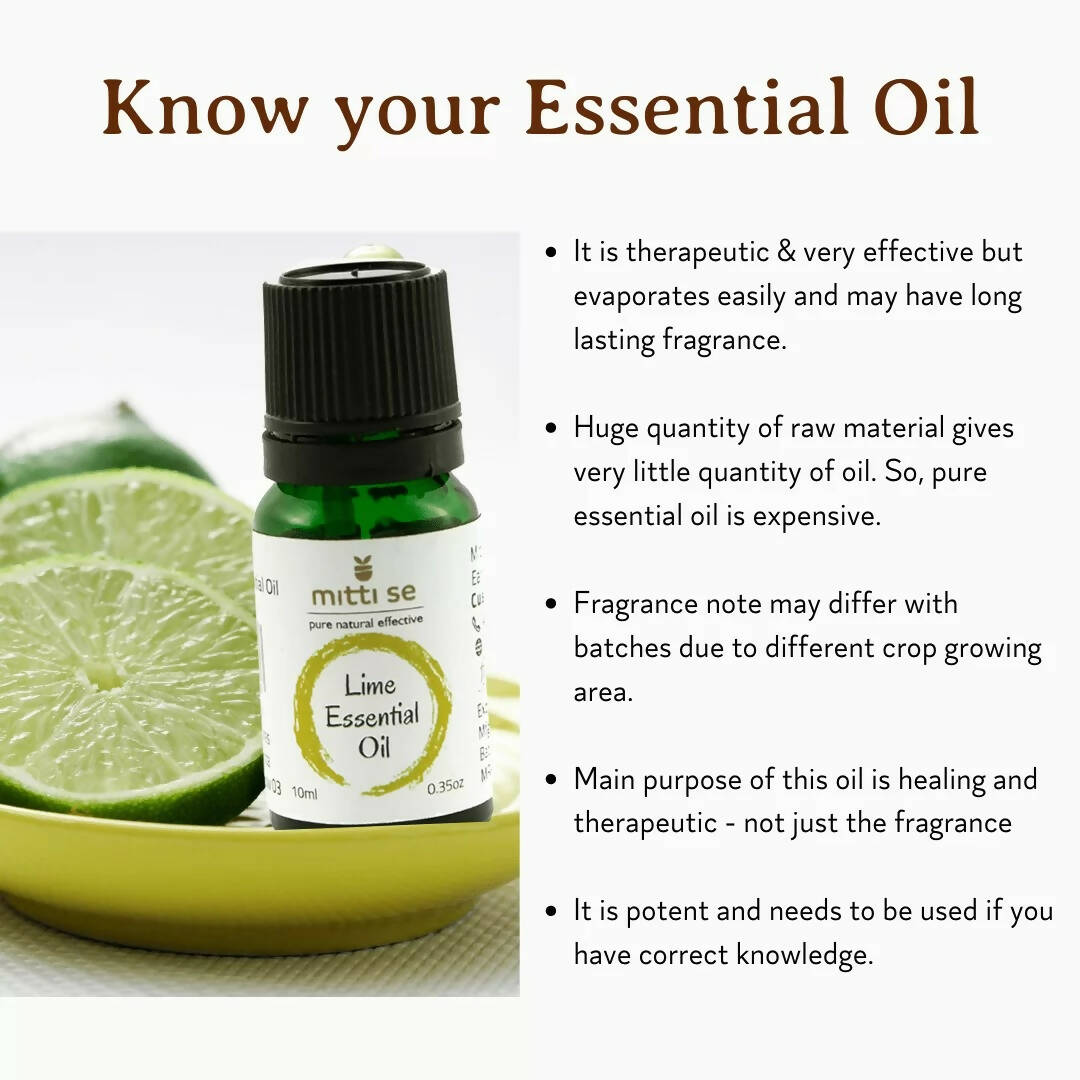 https://cdn.shopify.com/s/files/1/1857/6931/products/1vs8AKSV1T.jpg?v=1670583175